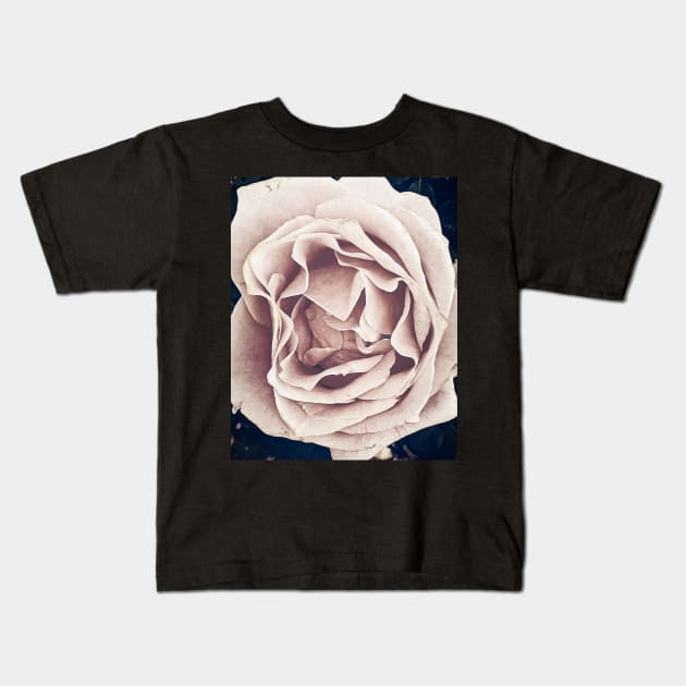 Pink Rose Kids T-Shirt by RobertsArt